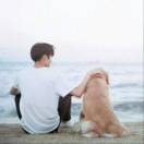 王จุ๊บ硕的头像 