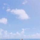 券妈妈会员: 夏天的风