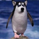 u客直谈实名认证苏先生