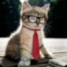 fxcfasd's Avatar