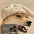 二娃的头像