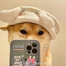A佛山不锈钢材料-工欲善其事必先利其器宋辞云创