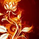 °ꦿོོLHJ࿐ᯤ⁶的头像 - 蚂蚁分享网