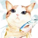 张欢的个人空间