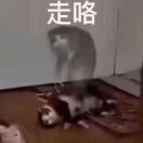 用户23943684的头像-VAM®克苏恩资源社区