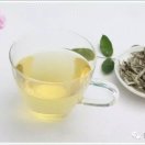 燕子的钢琴谱