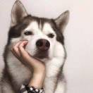 崔先生的头像