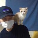 抖音(本地推.小红书)贵州云图-谭