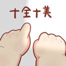 十全十美