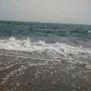 dwx