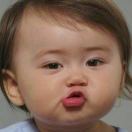 swfy