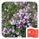 建安汇用户头像