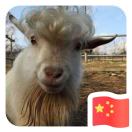 豪