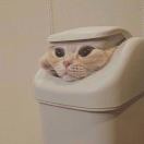 u客直谈实名认证隋先生