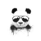 汪先生的头像