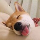 茶友汇