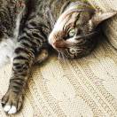 好朋友世林君的头像-cg男孩