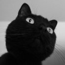 seeuswk's Avatar