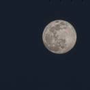 Kevin斌的头像-熵减岛