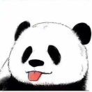 顾小迪