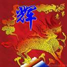 启点学杯作文大赛杨江楠