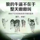 独狼15141702077