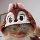 jackytao's Avatar