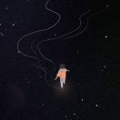 zxiu's Avatar
