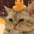 用户#113508
