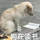 在你身边为你设计Ⅲ：腾讯服务设计思维与实战