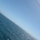 洛杉矶(加利福尼亚州)求租