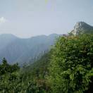 wx_郑宇21