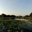 Vincent的钢琴谱