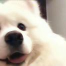 Persistent的头像-博士钣金 - www.bsbanjin.com