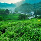 Profile picture of 庆舰