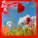 刘先生