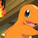 WashU QH校產公寓转租&房东直租