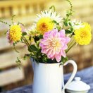 静待花开的头像