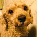 用户77362197的头像-熵减岛