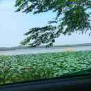 营养健康原料供应