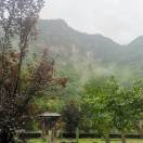马彦峰