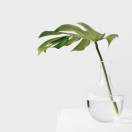 空杯的头像-创薯资源