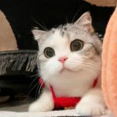 HSTaylor's Avatar