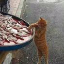 虞17312666855-博士钣金 - www.bsbanjin.com