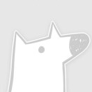 QMZ's Avatar