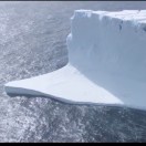 券妈妈会员: 飞翔的袋鼠