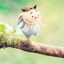 用户66349570的头像-熵减岛