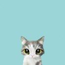 Mrs.Q      