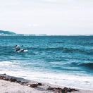 无风的秋季peter店主头像