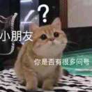 怡*